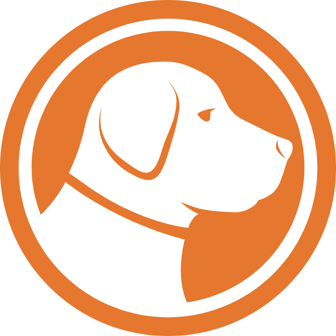 Orange BLG Icon